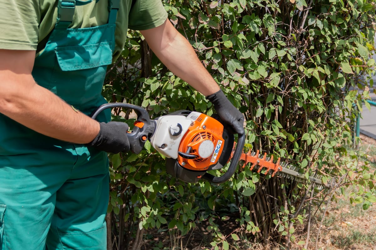 Attrezzi da giardinaggio professionali per manutenzione