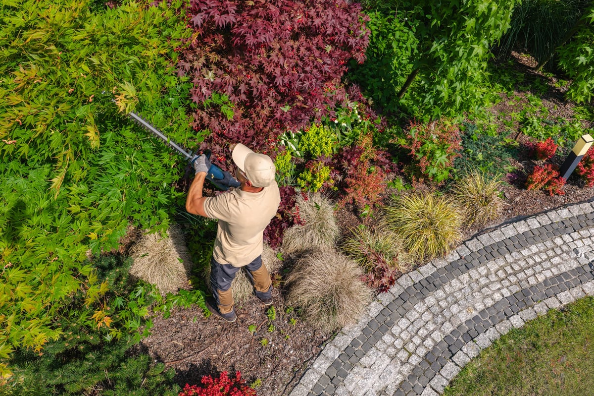 Giardino rigoglioso in ogni stagione
